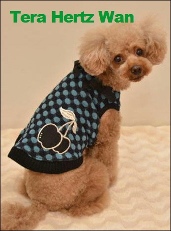 2013�ƥ�إ�ĥ�� �����꡼�ɥåȡ�