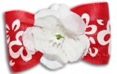 HB35��Happy Hibiscus������åסʥ���å�α���ա�