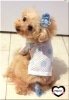 2012�ޥ����COOL���ǥꥷ�㥹�����