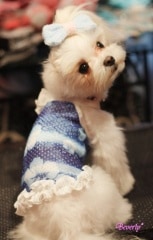 �֥ޥ������COOL���ϥ��ӥ�����ߥ����롡�֥롼