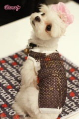 �ޥ������COOL���ե������ǥ˥�2011���֥�å�