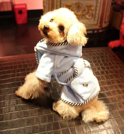 �ƥޡ���������Fifi&Romeo �Х������֡��������ܡ�����