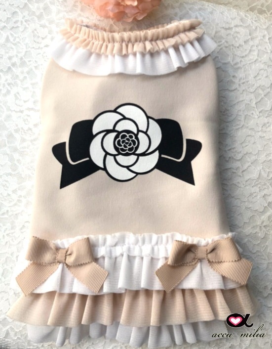 ����ꥢ�����åȥ�������