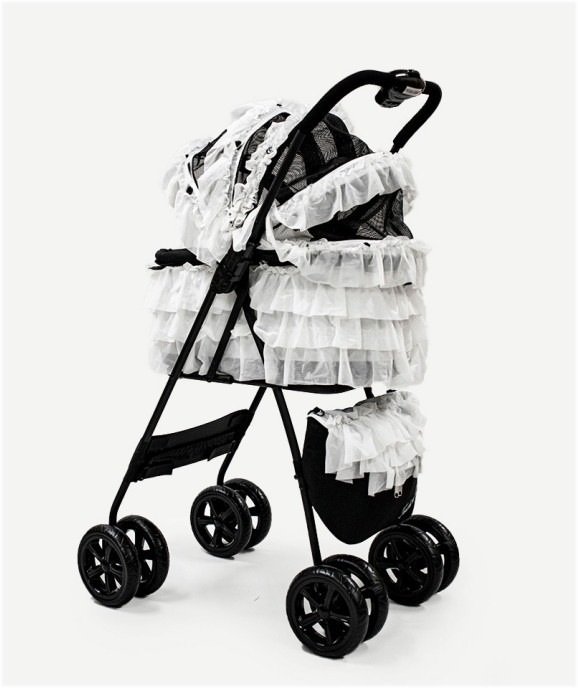 1��22���ʷ��12������ͽ�󳫻ϡá�2024ǯ3����ܺ��Ρۥߥ������á� accu milia���ƥ������ɥե��֥�å�2024