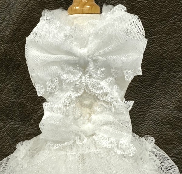 ��ܥ���硼��������ܥ�Х�å�(����ʡ��ѥ˥��������OP)