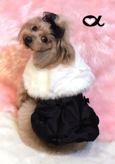 accu milia �ۥ磻�ȥե������ե���������