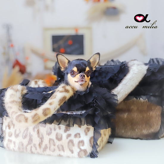 accu milia �ե������ե������쥬��ȥ���꡼�Хå�