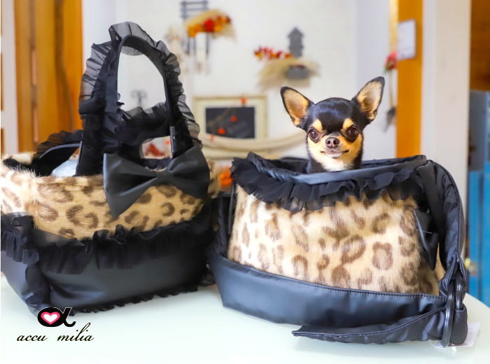 accu milia �ե������ե������쥬��ȥ���꡼�Хå�