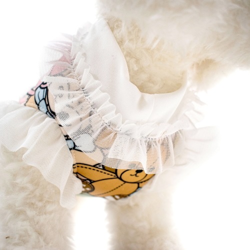 <�����>ŷ�ȤΥ����ȡ�accu milia  ������٥������åȥ���