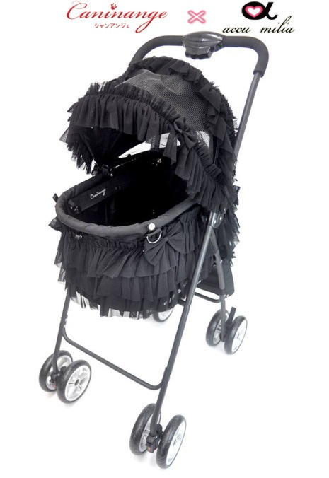 ��ƺ��΢䥳���- �ߥ�������Miacis�˥�ǥ� ŷ�ȤΥ����ȡ�accu milia�ʥ�����ߥꥢ�˥ƥ������ɥե��