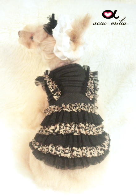 accu milia�����������ե�롡���ԡ���