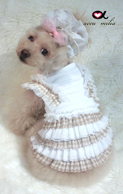 accu milia�����������ե�롡���ԡ���