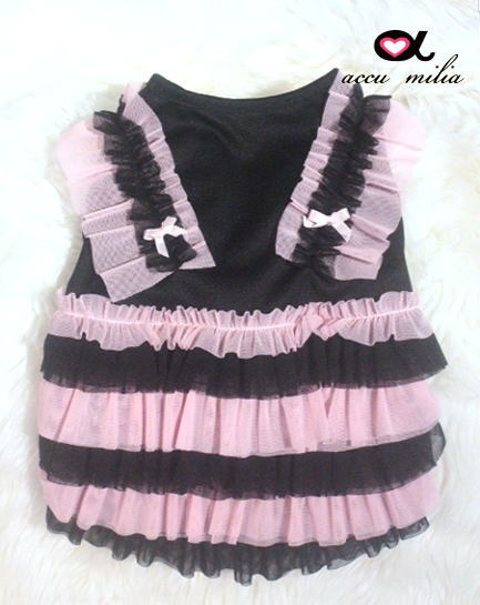 accu milia�����������ե�롡���ԡ���