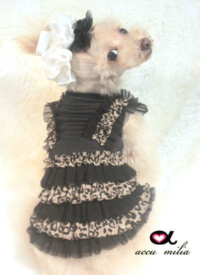 accu milia�����������ե�롡���ԡ���