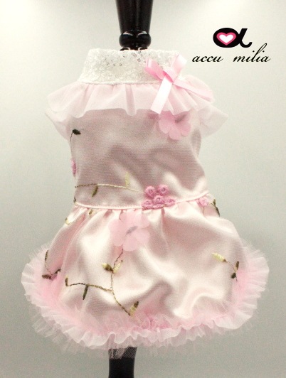 accu milia ե塼