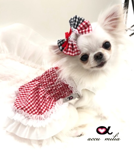accu milia�����㡼��󥰥��󥬥����