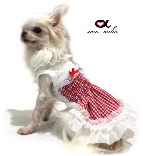 accu milia�����㡼��󥰥��󥬥����