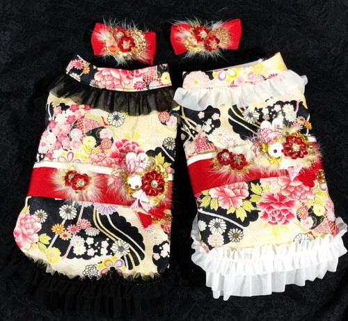 �㤴ͽ���ʡ���ꥳ��� ������������accu milia �����ե����ԡ���