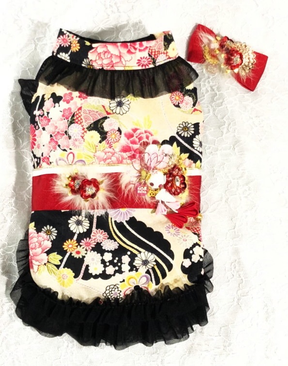 �㤴ͽ���ʡ���ꥳ��� ������������accu milia �����ե����ԡ���