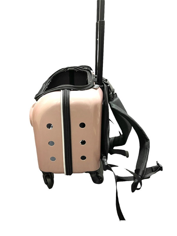 ��Rui&Aguri�� Milano-SP�ڥߥ�Ρ�