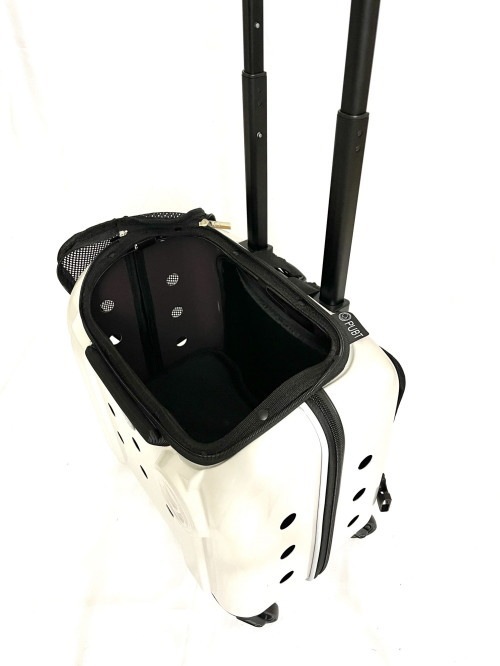 ��Rui&Aguri�� Milano-SP�ڥߥ�Ρ�