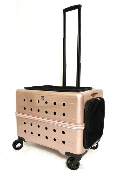 ��Rui&Aguri�� Vehicle-L�ڥ��������롦�����