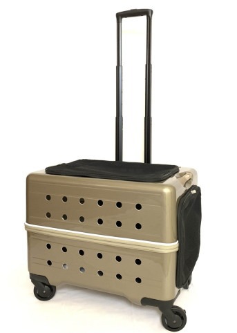 ��Rui&Aguri�� Vehicle-L�ڥ��������롦�����