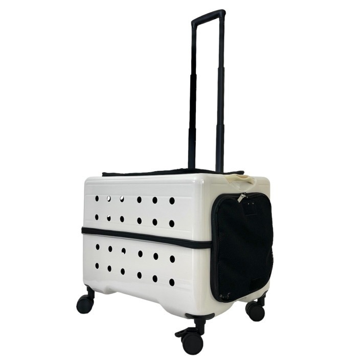 ��Rui&Aguri�� Vehicle-L�ڥ��������롦�����