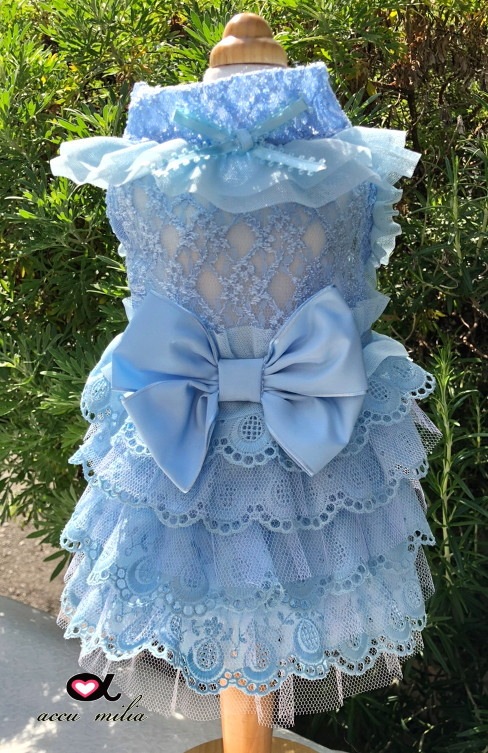 �֥롼���졼�륳�åȥ���ԡʡ����̸����