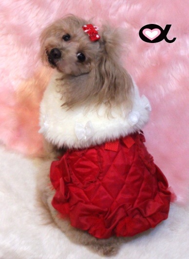 accu milia �ۥ磻�ȥե������ե���������