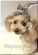 Marivi�����󥬥।�饤�����Х�å�