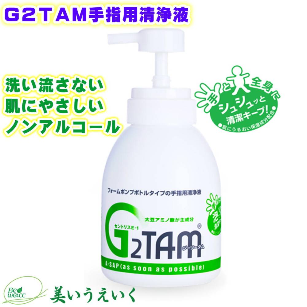 除菌 消臭 消毒 抗菌液 ハンドクリーナー 手洗い Ｇ２ＴＡＭ手指用清浄液 泡タイプ 500ml