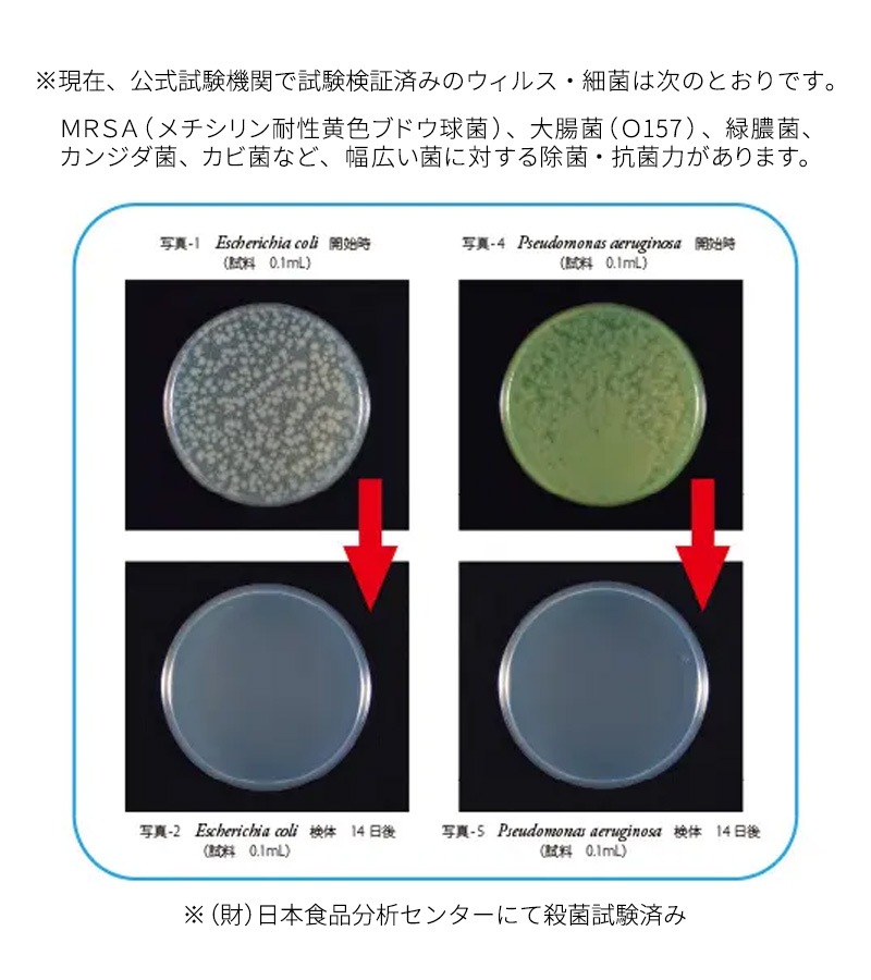 お試し５本セット【日本製】厚手 大判 使い捨ておしぼり 抗菌・除菌・消臭 丸型 個包装 高品質 プレミアム 不織布・紙おしぼり 温冷対応 業務用 エンボス加工 アルコールフリー ニュークリーンスター【メール便送料無料】