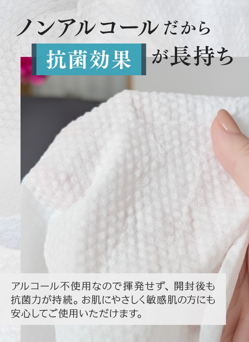 お試し５本セット【日本製】厚手 大判 使い捨ておしぼり 抗菌・除菌・消臭 丸型 個包装 高品質 プレミアム 不織布・紙おしぼり 温冷対応 業務用 エンボス加工 アルコールフリー ニュークリーンスター【メール便送料無料】