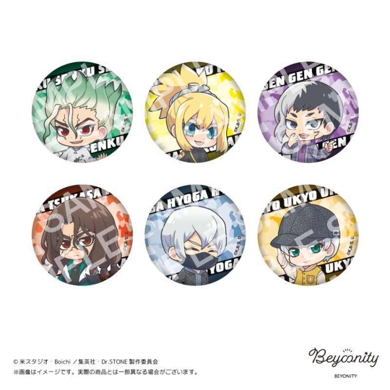 Dr.STONE�����Ȥ���顡�̥Хå���1BOX6�������