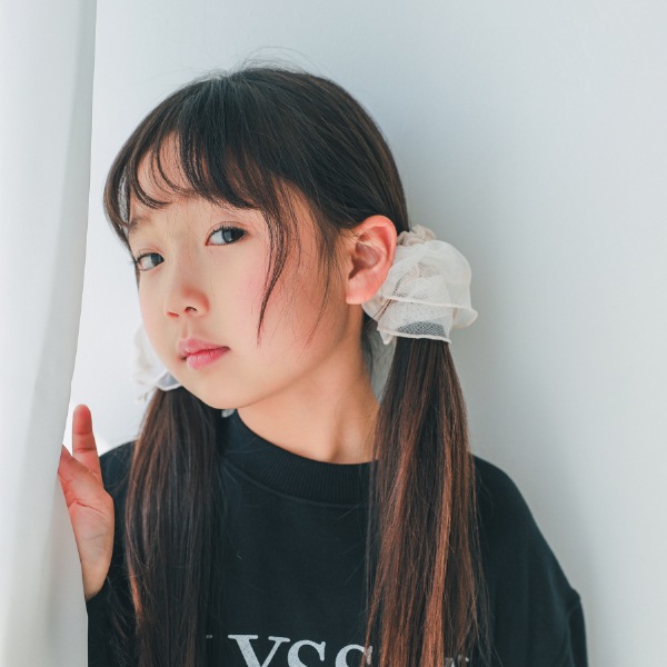 【25FW】チュール 付けフリル / アイボリー