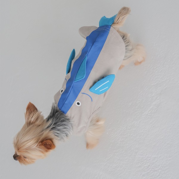 アラカルト　ドッグウェア / GYまぐろ