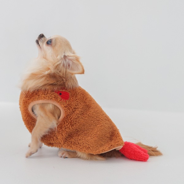 アラカルト　ドッグウェア / BRエビフライ