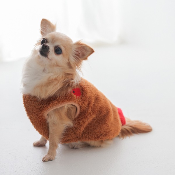 アラカルト　ドッグウェア / BRエビフライ