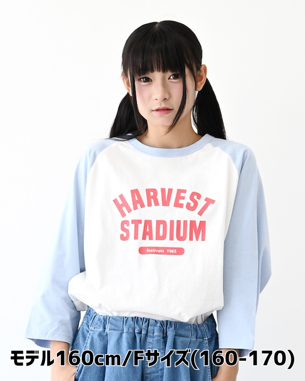【フォブ】HARVEST Tシャツ / サックス