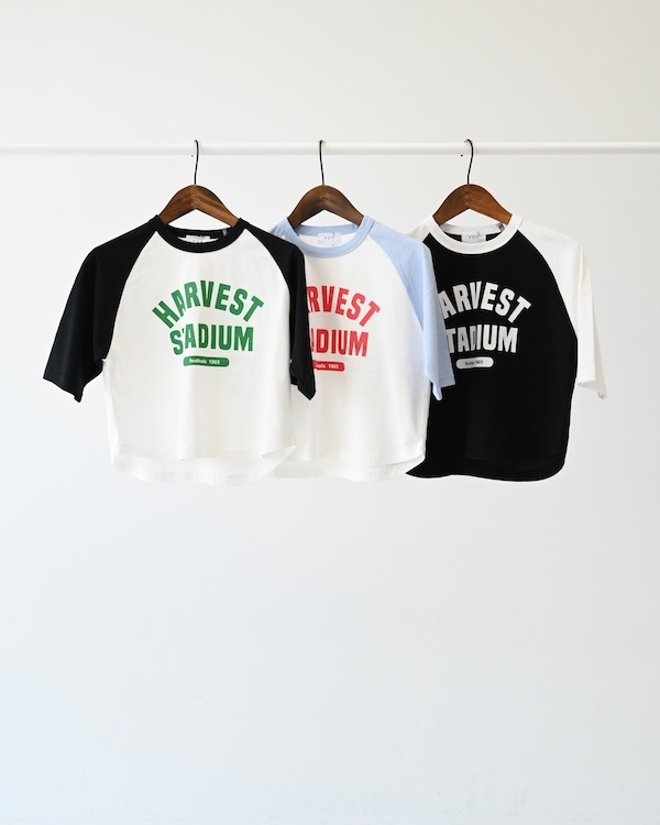 【フォブ】HARVEST Tシャツ / サックス