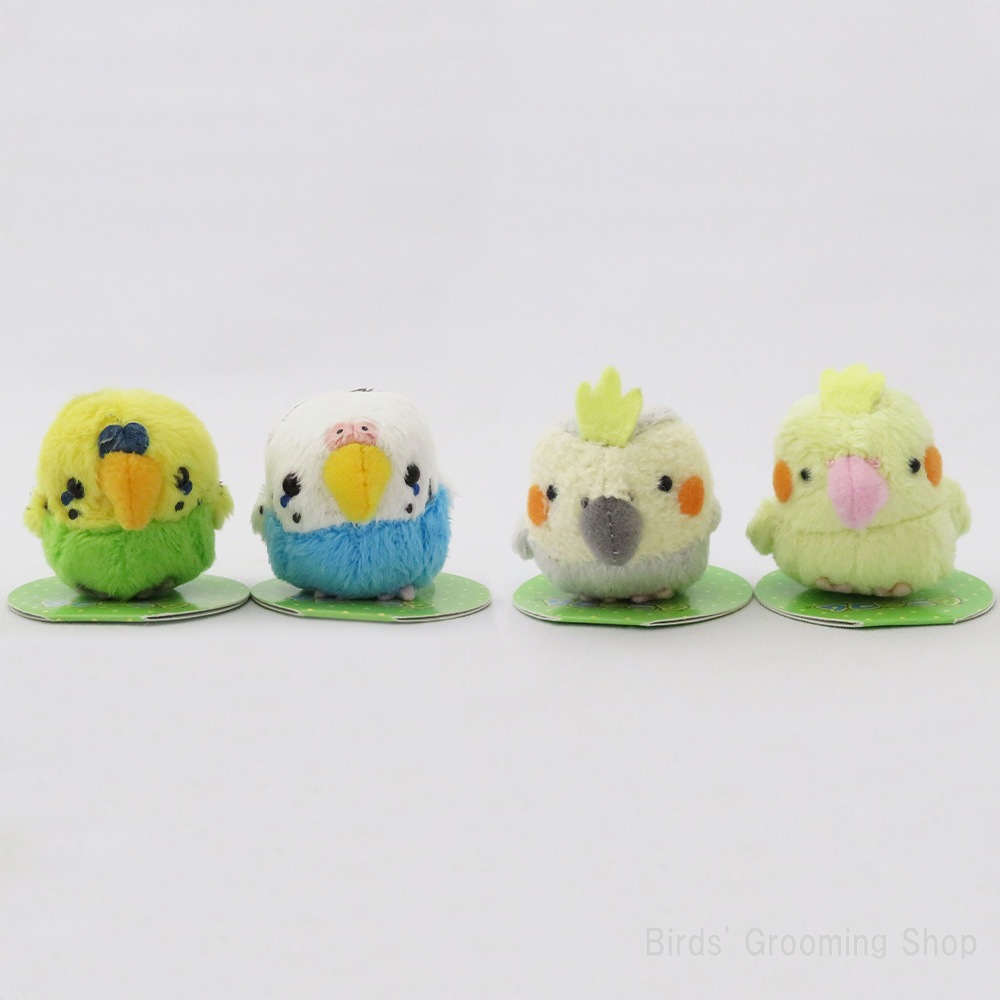 TSTアドバンス】マグネット｜Bird's Grooming Shop