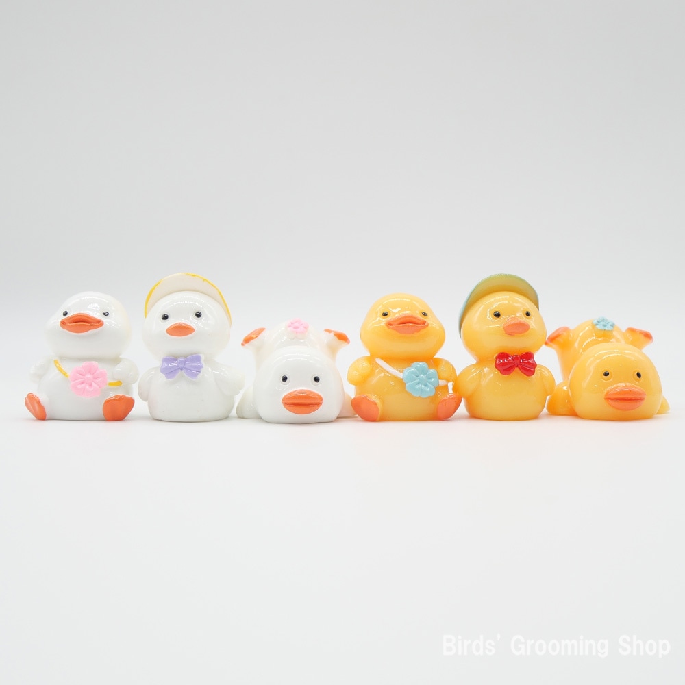 おしゃれダック(3個セット)｜Bird's Grooming Shop