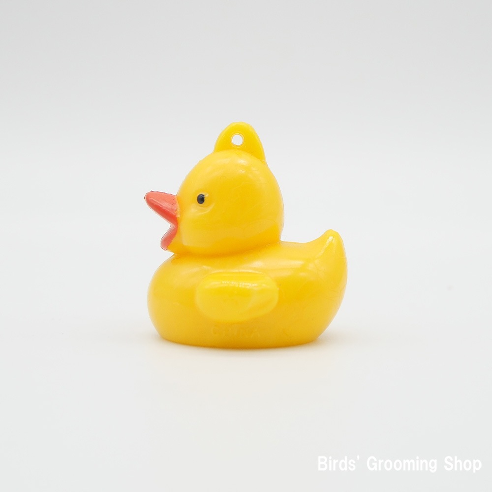 8_000000001902.jpg?1725331679