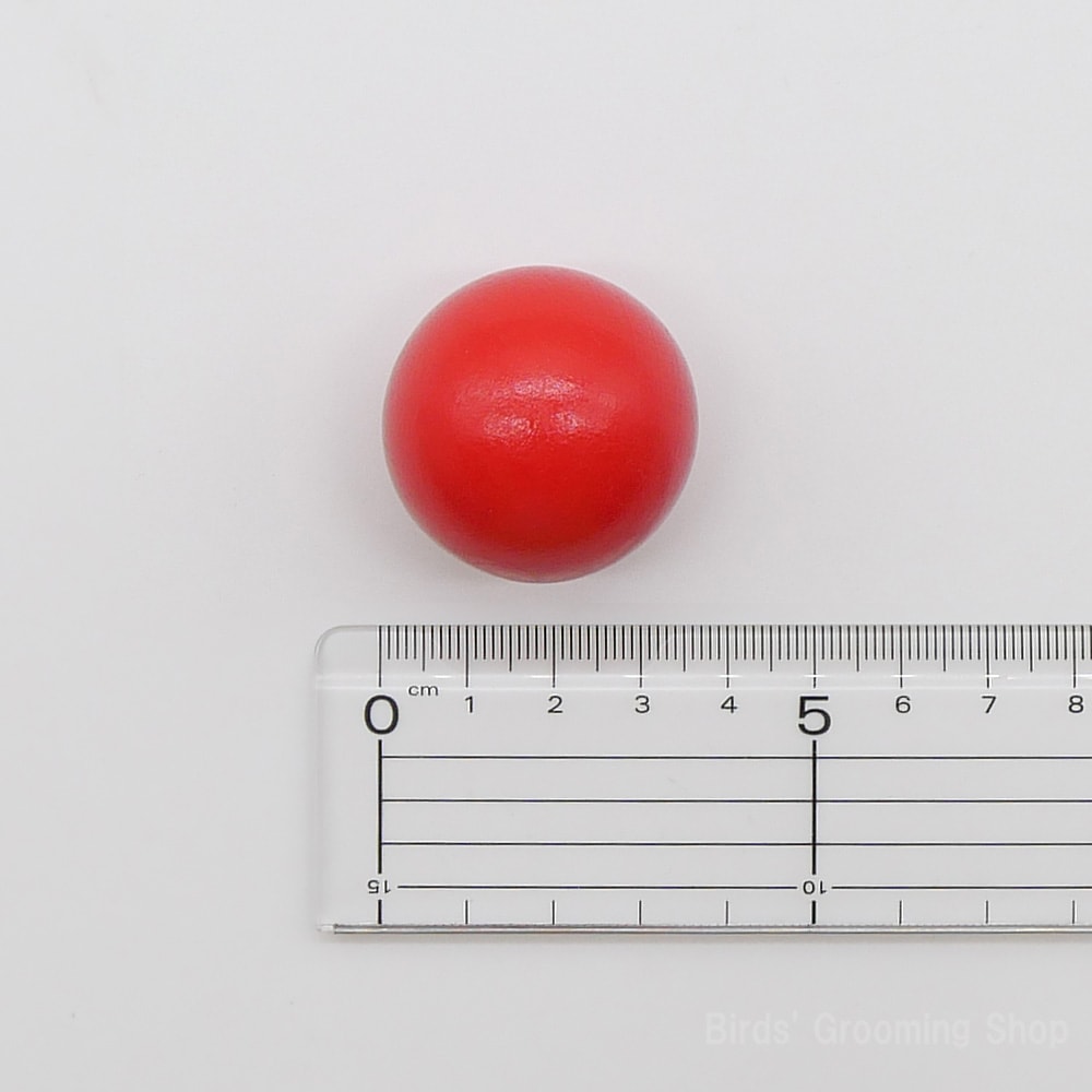 ミニボウリングセット｜Bird's Grooming Shop