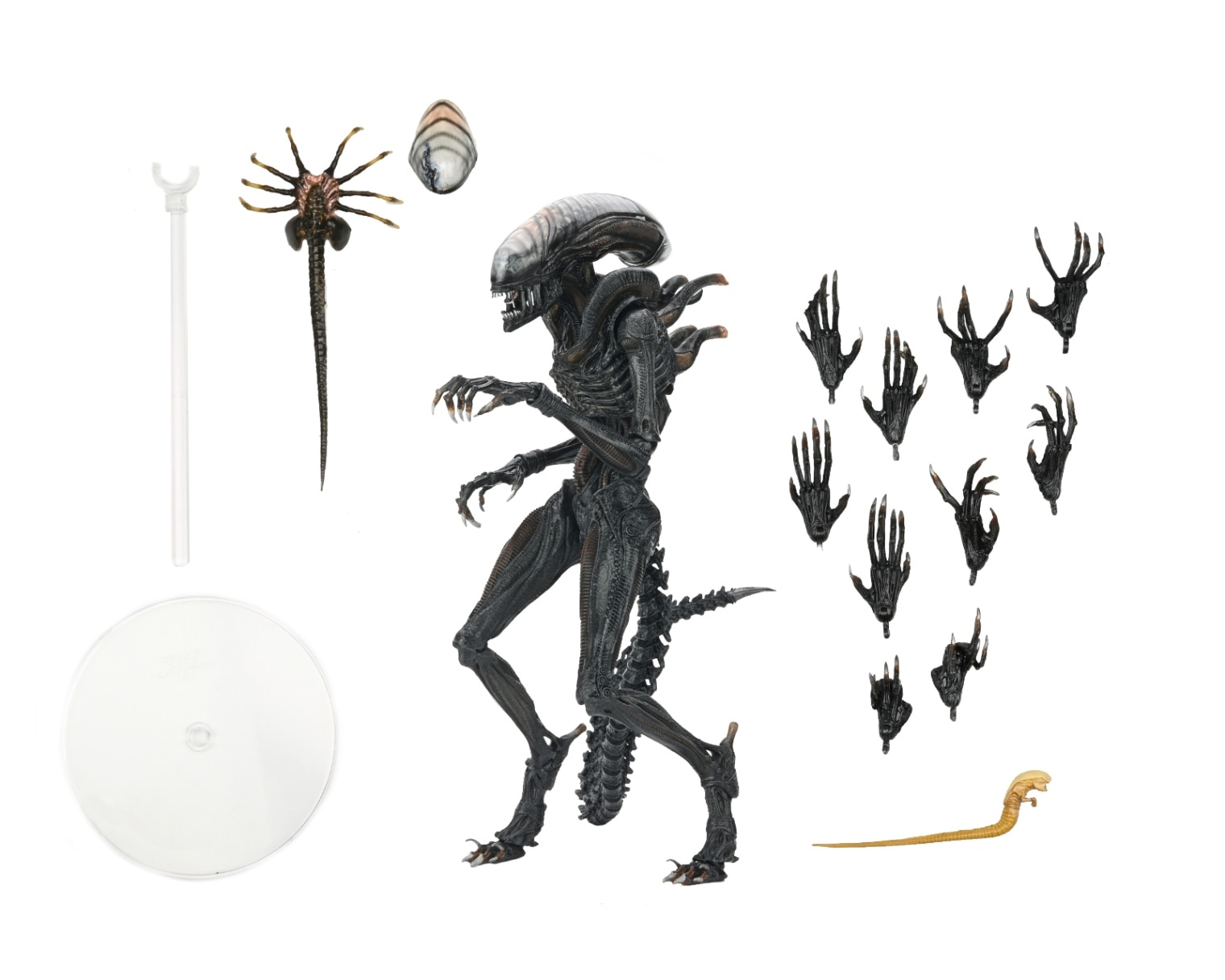 完成品 ネクロノーム プロトタイプエイリアン GIGER エイリアン