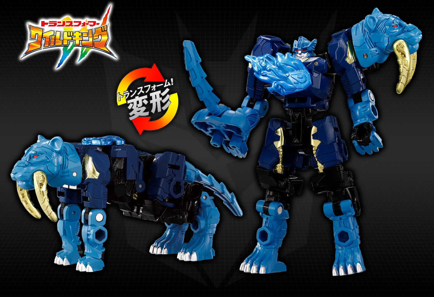 ���� ������ȥߡ� �ȥ�󥹥ե����ޡ� �磻��ɥ��� WKS-04 ����ɥ��ᥬ�ȥ���&�ե����ȥ����С� �磻��ɥå��󥰥��å�