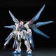 ���� �Х���� RG 1/144 ��ư��Υ������SEED DESTINY ���ȥ饤���ե꡼���६����� �ץ��ǥ�