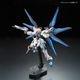 ���� �Х���� RG 1/144 ��ư��Υ������SEED DESTINY ���ȥ饤���ե꡼���६����� �ץ��ǥ�