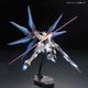 ���� �Х���� RG 1/144 ��ư��Υ������SEED DESTINY ���ȥ饤���ե꡼���६����� �ץ��ǥ�